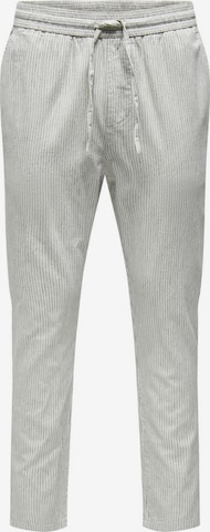 Regular Pantalon 'Linus' Only & Sons en gris : devant