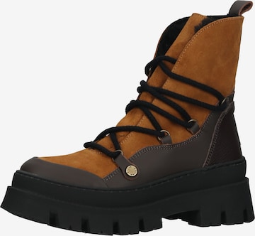 STEVE MADDEN Veterlaarsjes in Bruin: voorkant