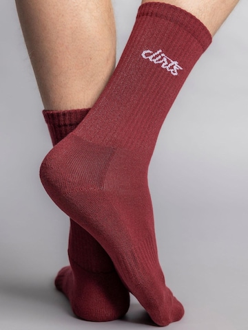 Dirts Socken 'Classic Logo Socks'‌‌ in Rot