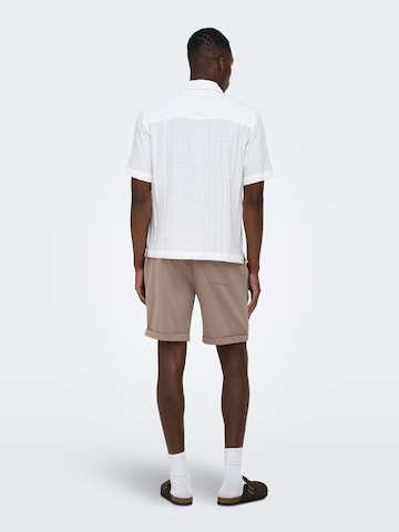 Only & Sons Regular Trousers 'ONSNewkodyl' in Brown