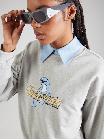 Kaotiko Sweatshirt 'FLIPPER' i grå