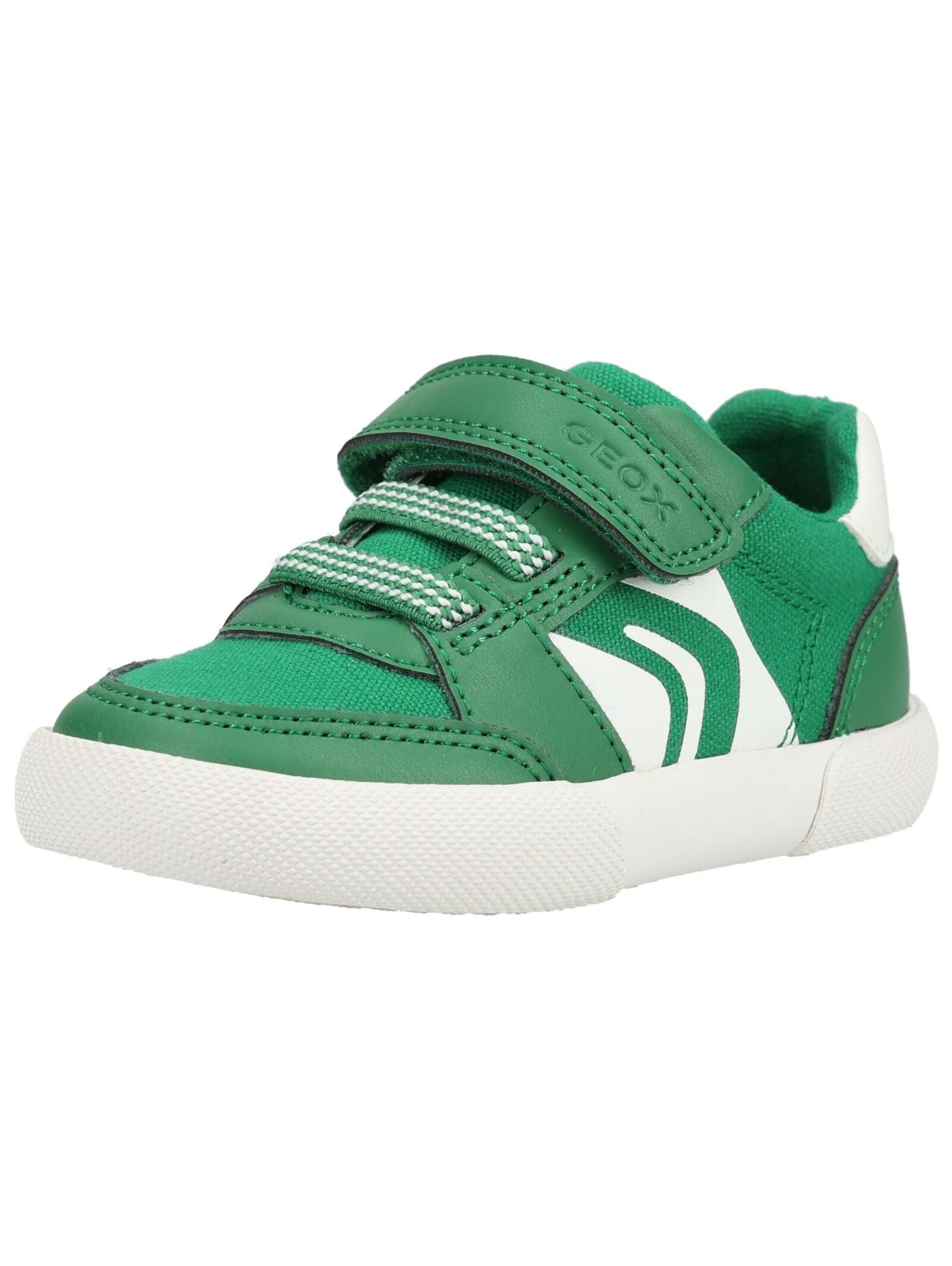 GEOX Baskets en vert / blanc, Vue avec produit