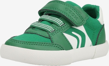 Baskets GEOX en vert : devant