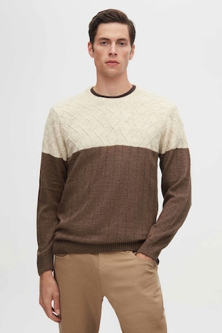 D’S Damat Pullover in Braun: Vorderseite