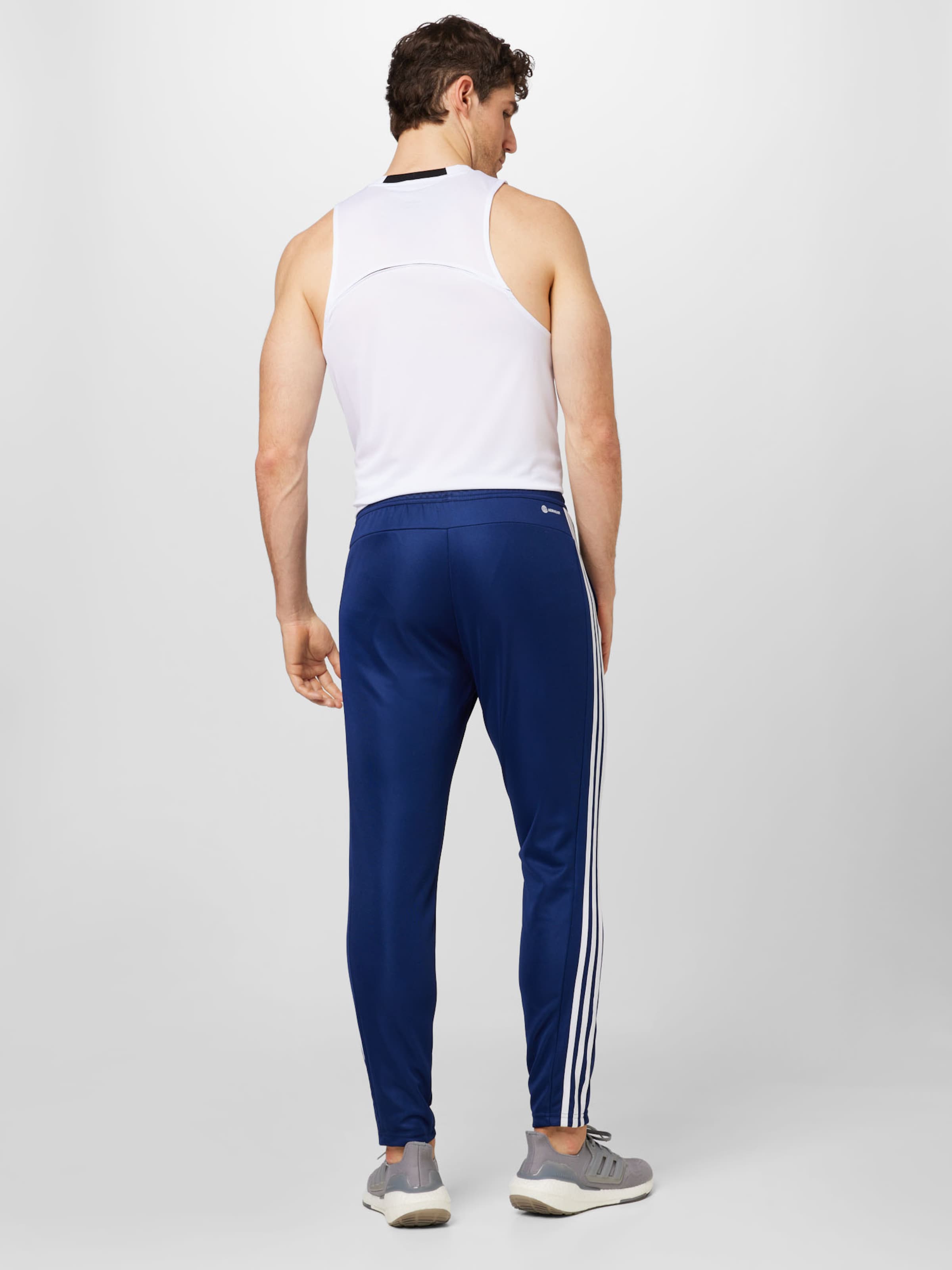 Adidas essential track pants blue hotsell
