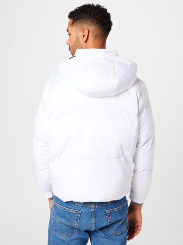 Night Addict Winter Jacket 'NATRAVISD' in White