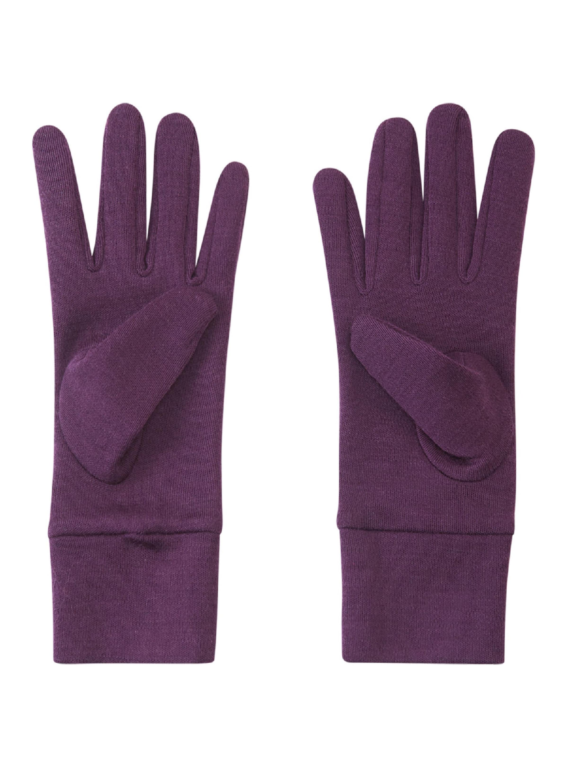 Reima Handschoenen ' Etsin ' in Lila: voorkant