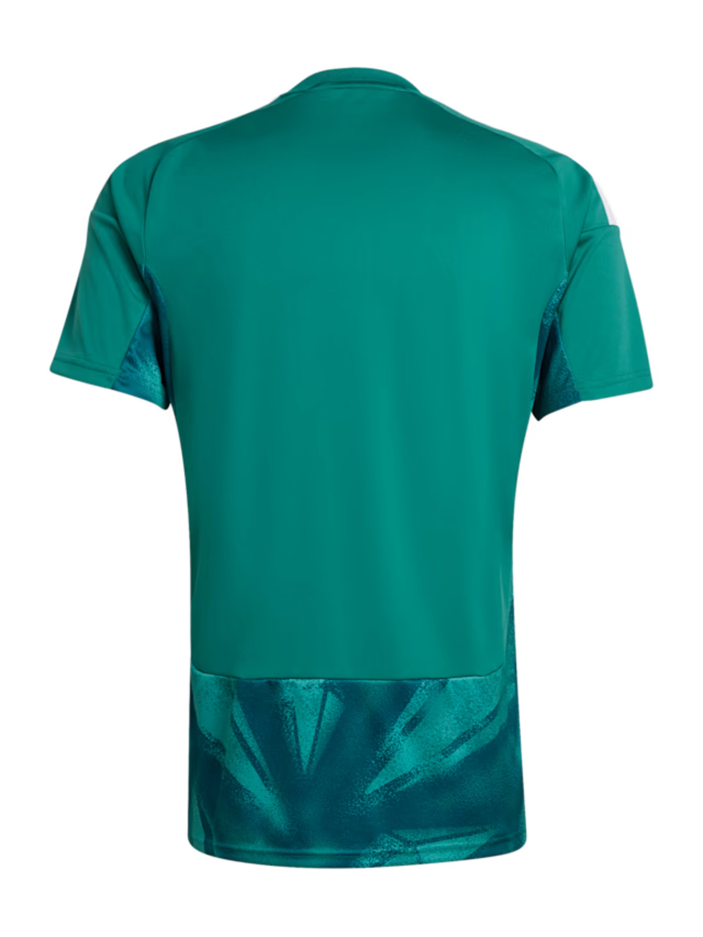 ADIDAS PERFORMANCE Trikot ''Deutschland 26' in Grün