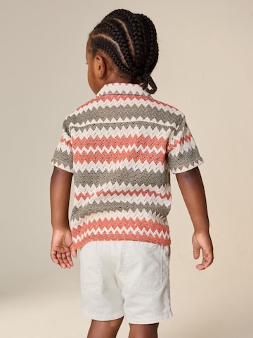 Next Regular fit Overhemd in Gemengde kleuren