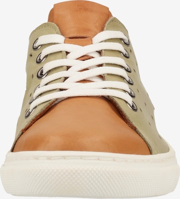 COSMOS COMFORT Sneakers laag in Beige