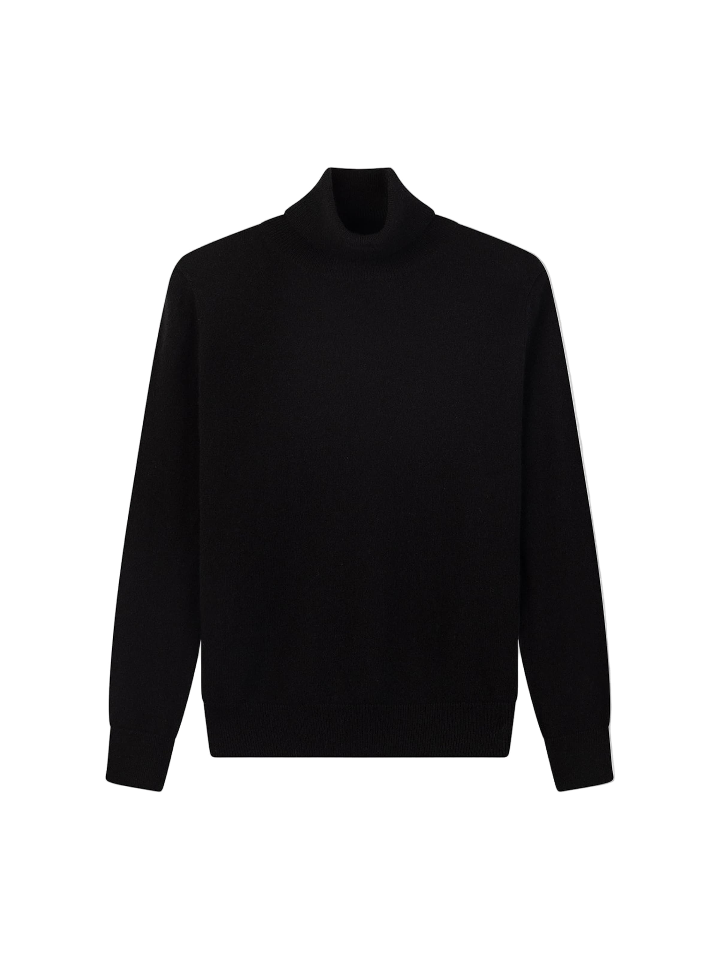 GOBI Cashmere Sweater 'Timeless Cashmere Turtleneck Sweater' in Black: front