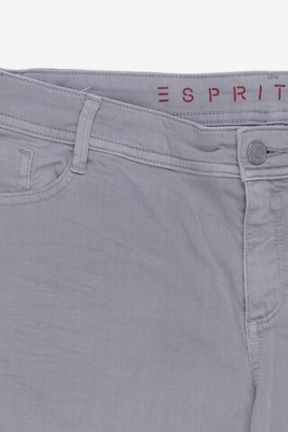 ESPRIT Shorts in 42 in Grey