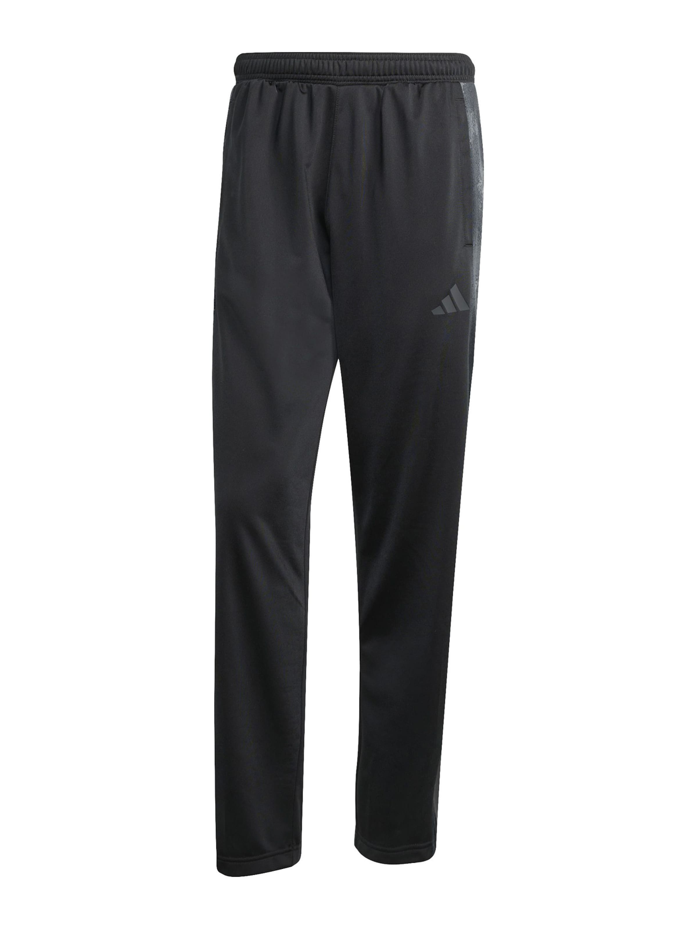 ADIDAS SPORTSWEAR - regular Pantalón deportivo en negro: frente