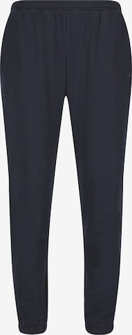 ENDURANCE Regular Sports trousers 'Arlanc' in Blue: front