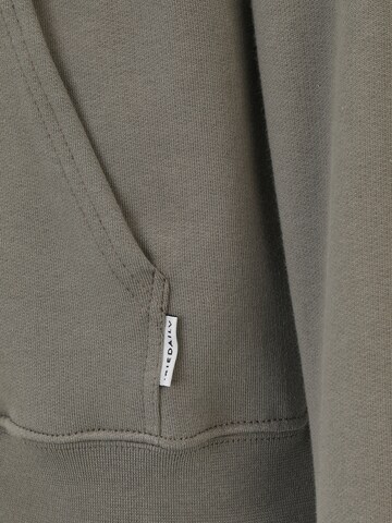 Regular fit Felpa di Iriedaily in verde