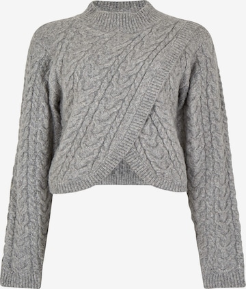 Apricot Sweater in Grey: front
