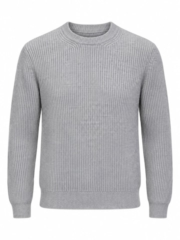 Grimelange Sweater in Grey: front