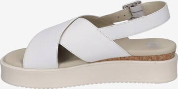 GERRY WEBER Strap Sandals 'Cervo 01' in White