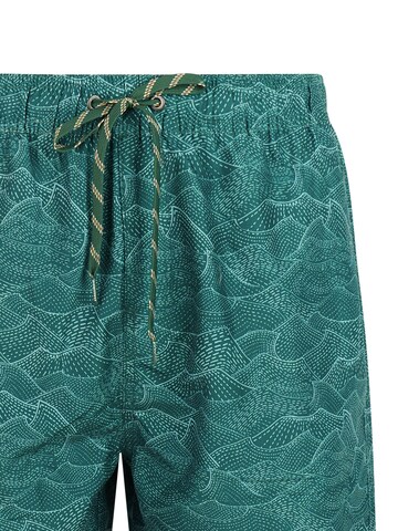 PROTEST Board Shorts 'PRTAcorn' in Green