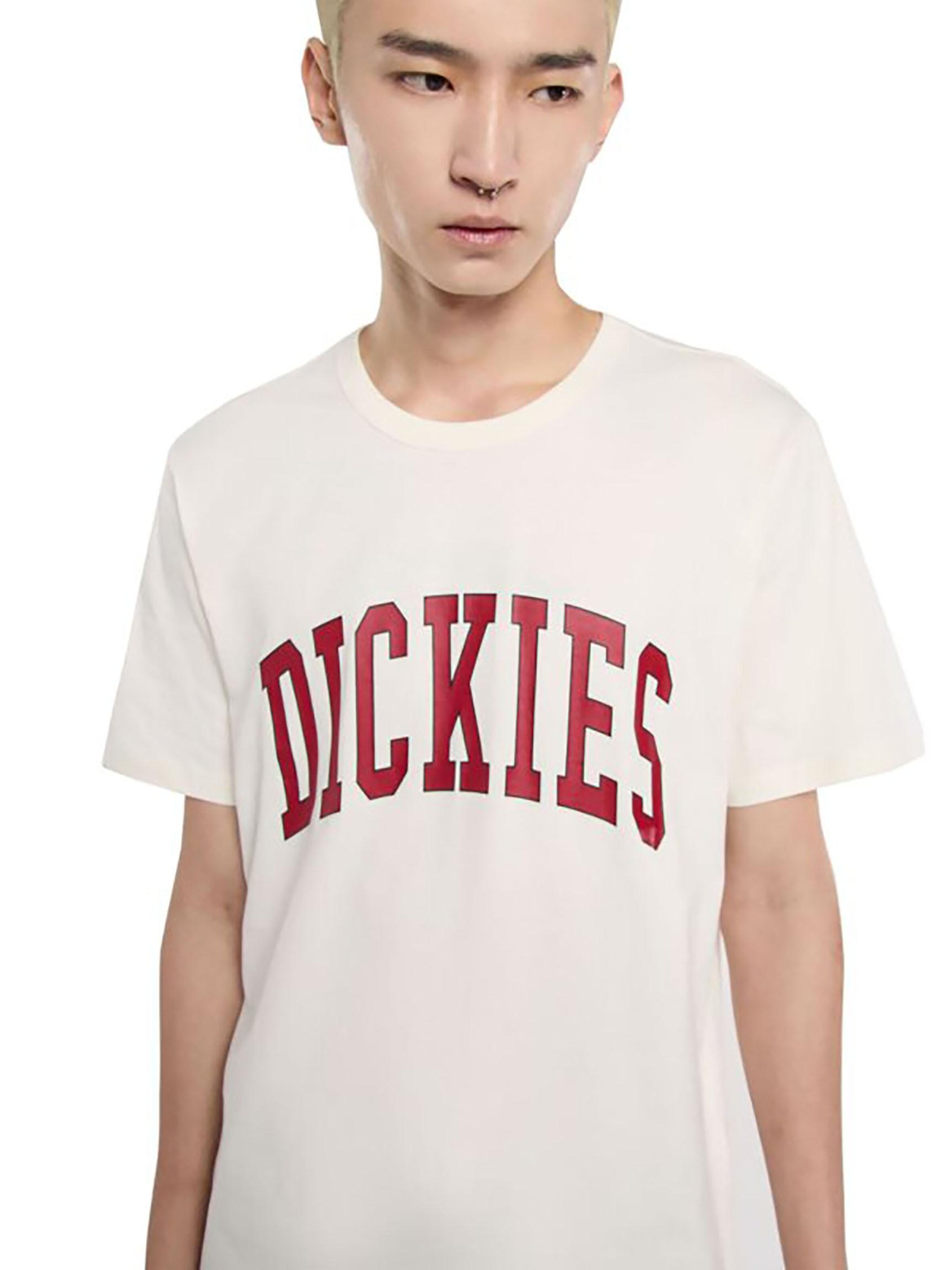 DICKIES Shirt 'Aitkin' in Beige