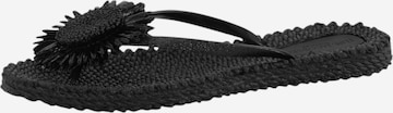 Tongs ILSE JACOBSEN en noir : devant