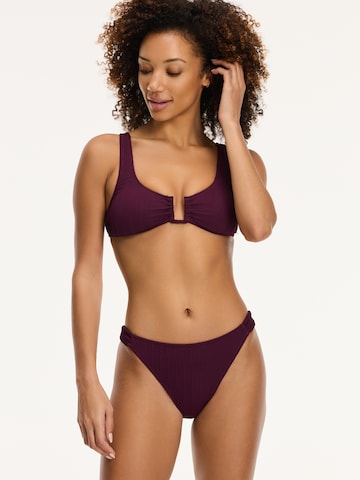 Shiwi Triangle Bikini 'CHLOE SCOOP' in Purple: front