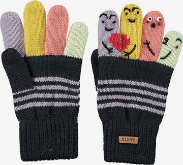 Barts Gloves in Mixed colors: front
