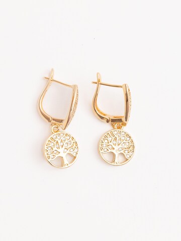 Secret Stones Earrings 'Life Power' in Gold: front