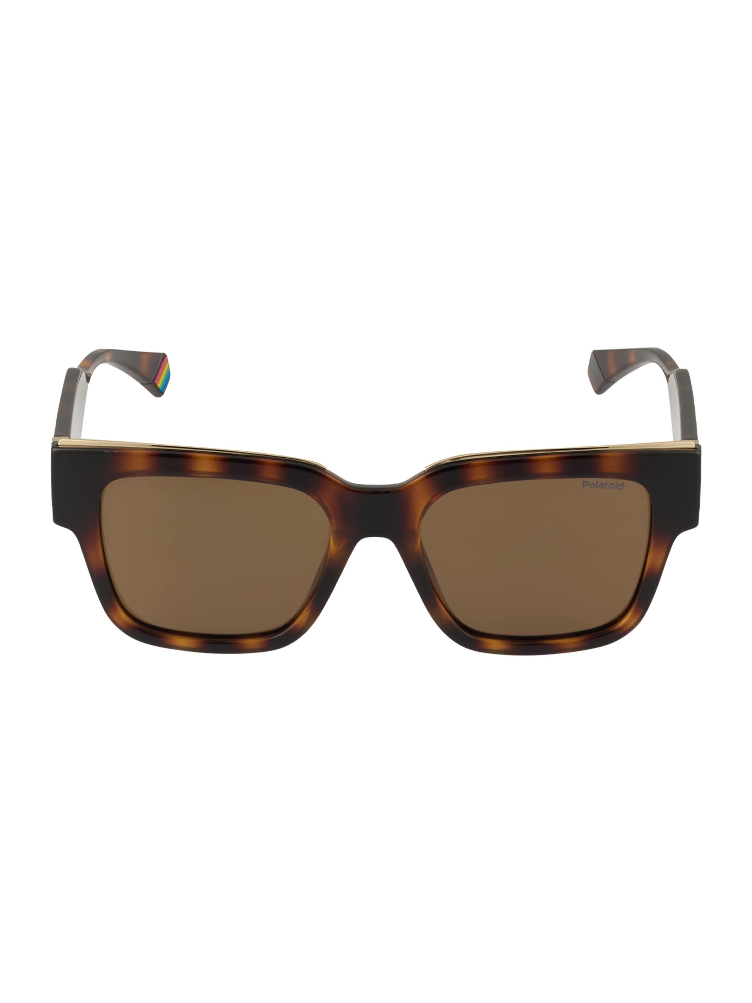 Polaroid Sunglasses in Brown: front