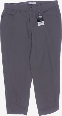 SHEEGO Pants in XL in Grey: front