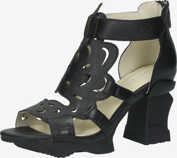 Laura Vita Strap Sandals in Black: front