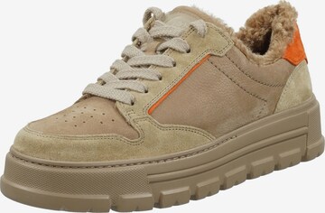 Sneaker bassa di Paul Green in beige: frontale