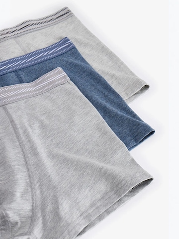 Penti Boxershorts 'PENTI Herren Shades Boxer'‌‌‌‌‌‌‌‌ in Mischfarben