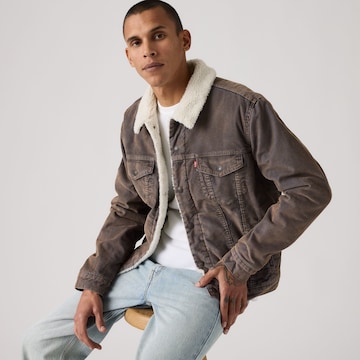 LEVI'S ® Between-season jacket 'TYPE 3' in Brown