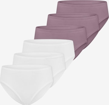 SCHIESSER Panty 'Essentials Cotton' in Purple: front