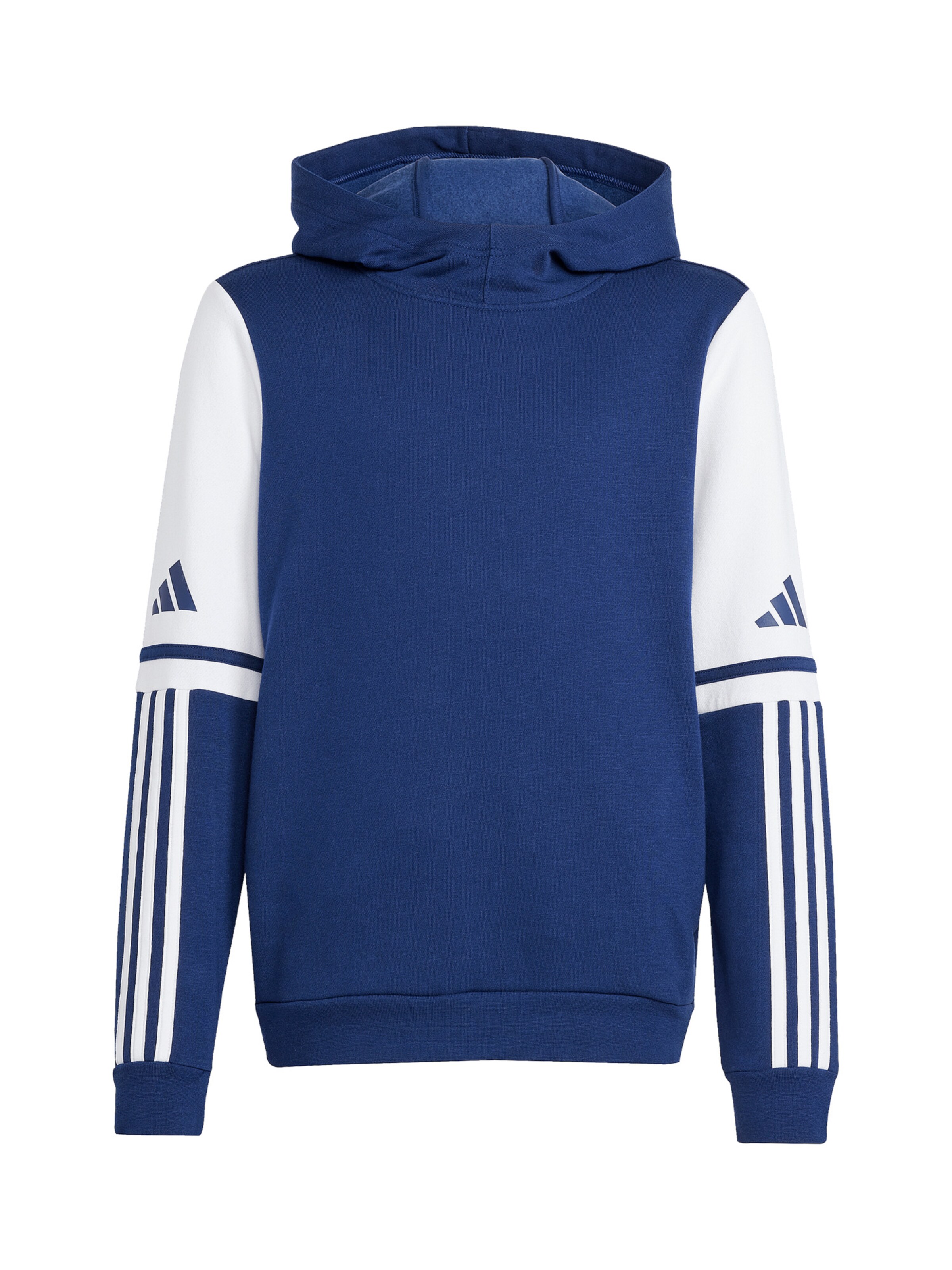 ADIDAS PERFORMANCE Sportsweatshirt in Blau: Vorderseite