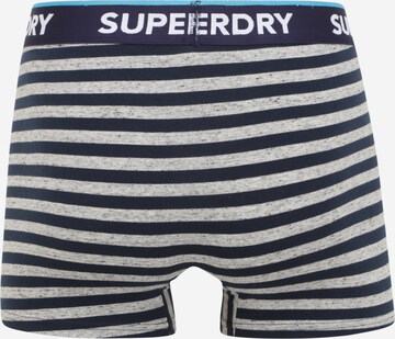 Superdry Regular Boxershorts i blå