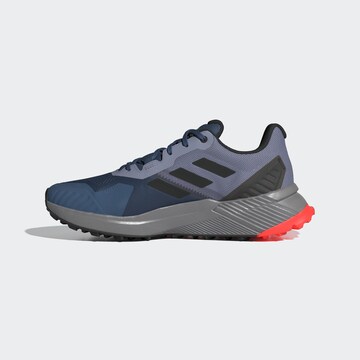 Chaussure de course ADIDAS TERREX en bleu