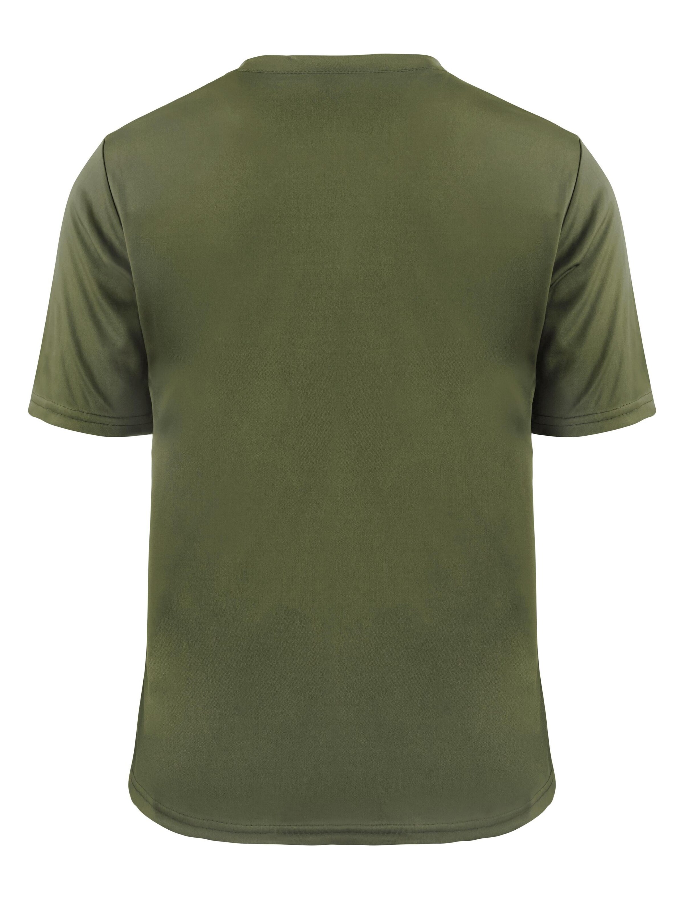 normani Shirt 'Agra' in Green