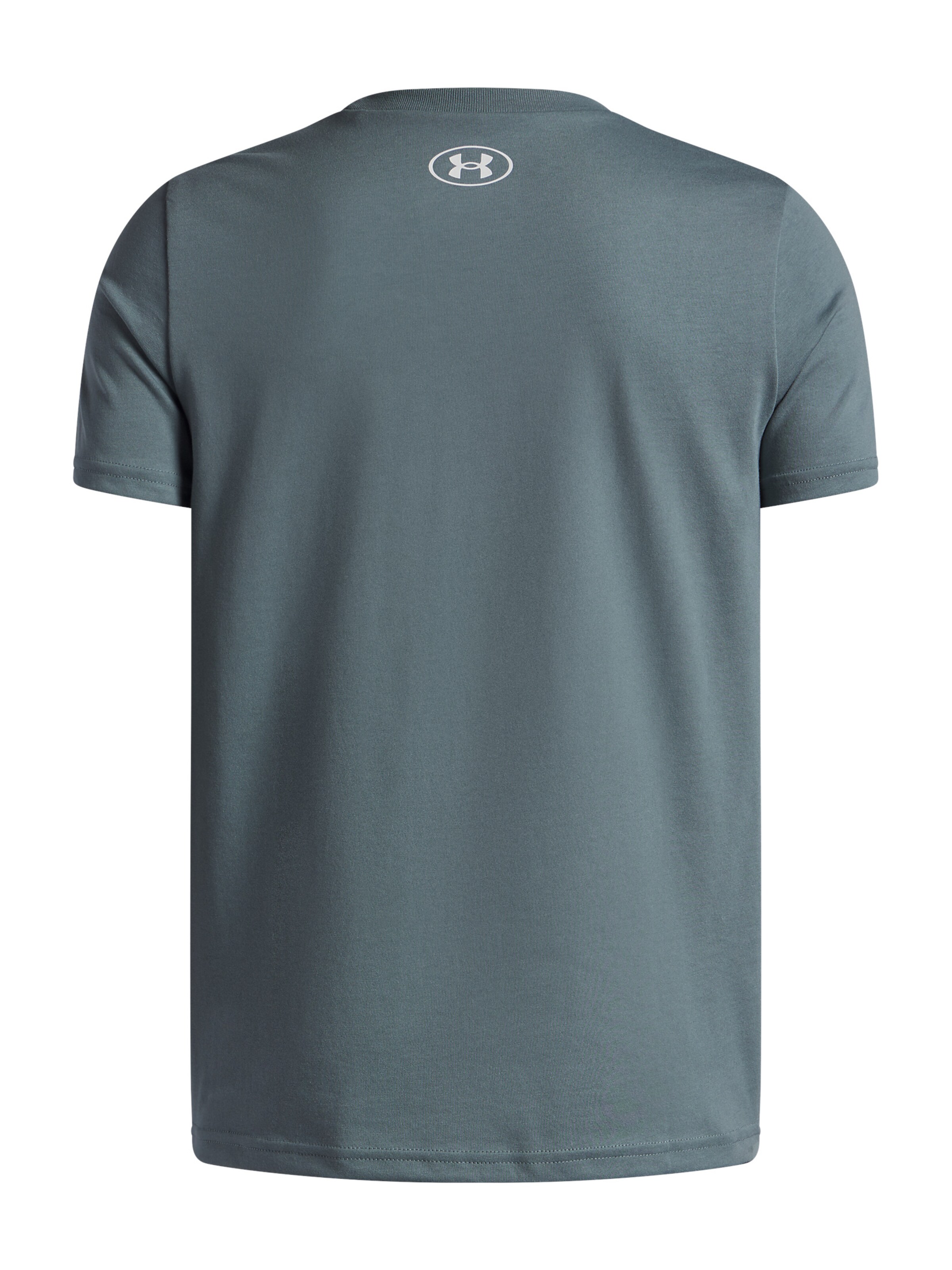 UNDER ARMOUR Performance Shirt in Blue