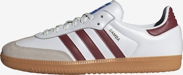 ADIDAS ORIGINALS Sneakers 'Samba' in White: front