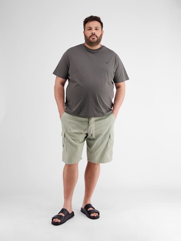 LERROS Regular Trousers in Green: front