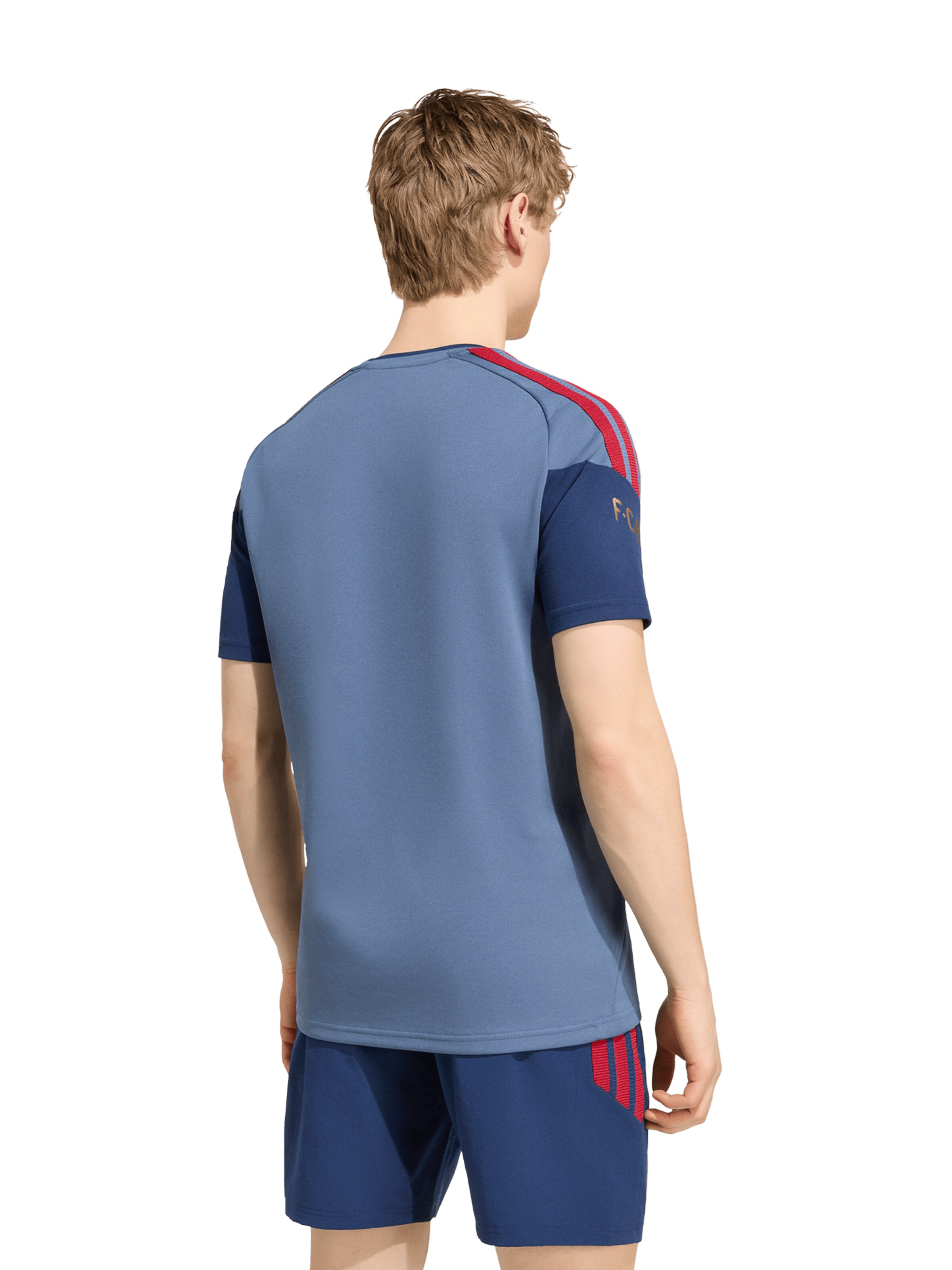 ADIDAS PERFORMANCE Shirt in Blue