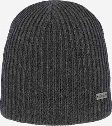 EisglutKapa 'Anthonya ' - siva boja: prednji dio