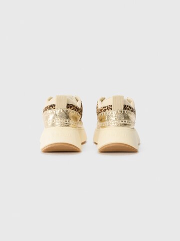 STEVE MADDEN Sneaker 'Doubletak' in Mischfarben