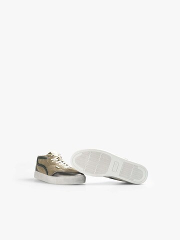 Sneaker bassa di Scalpers in marrone