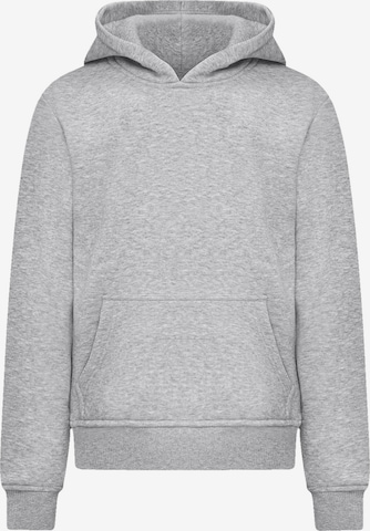 F4NT4STIC Sweatshirt in Grau: Vorderseite