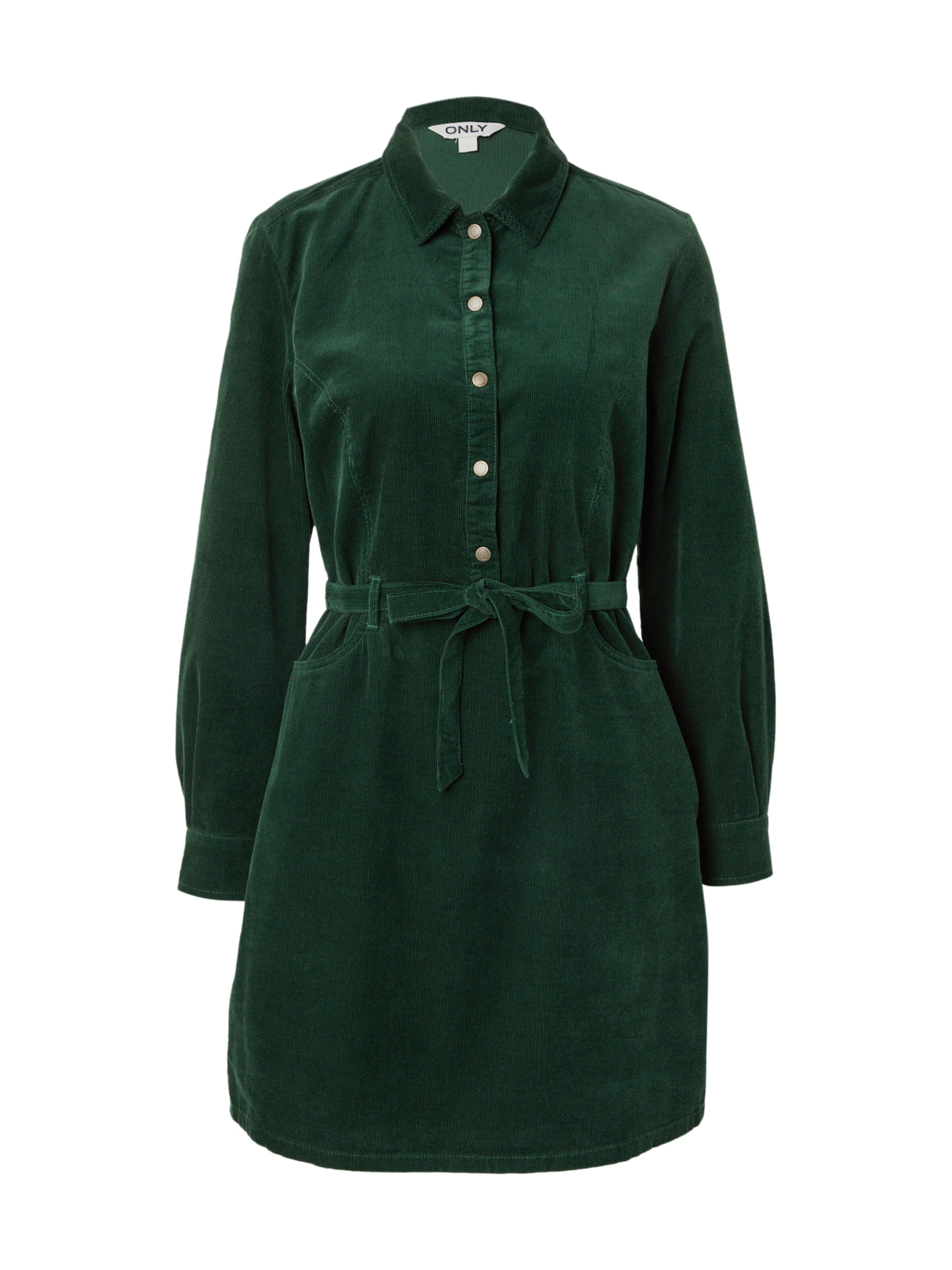 ONLY Dolga srajca 'ONLNESSA' | zelena barva: sprednja stran