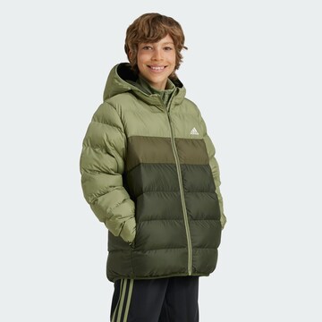 ADIDAS SPORTSWEAR Outdoorjacke in Grün: Vorderseite