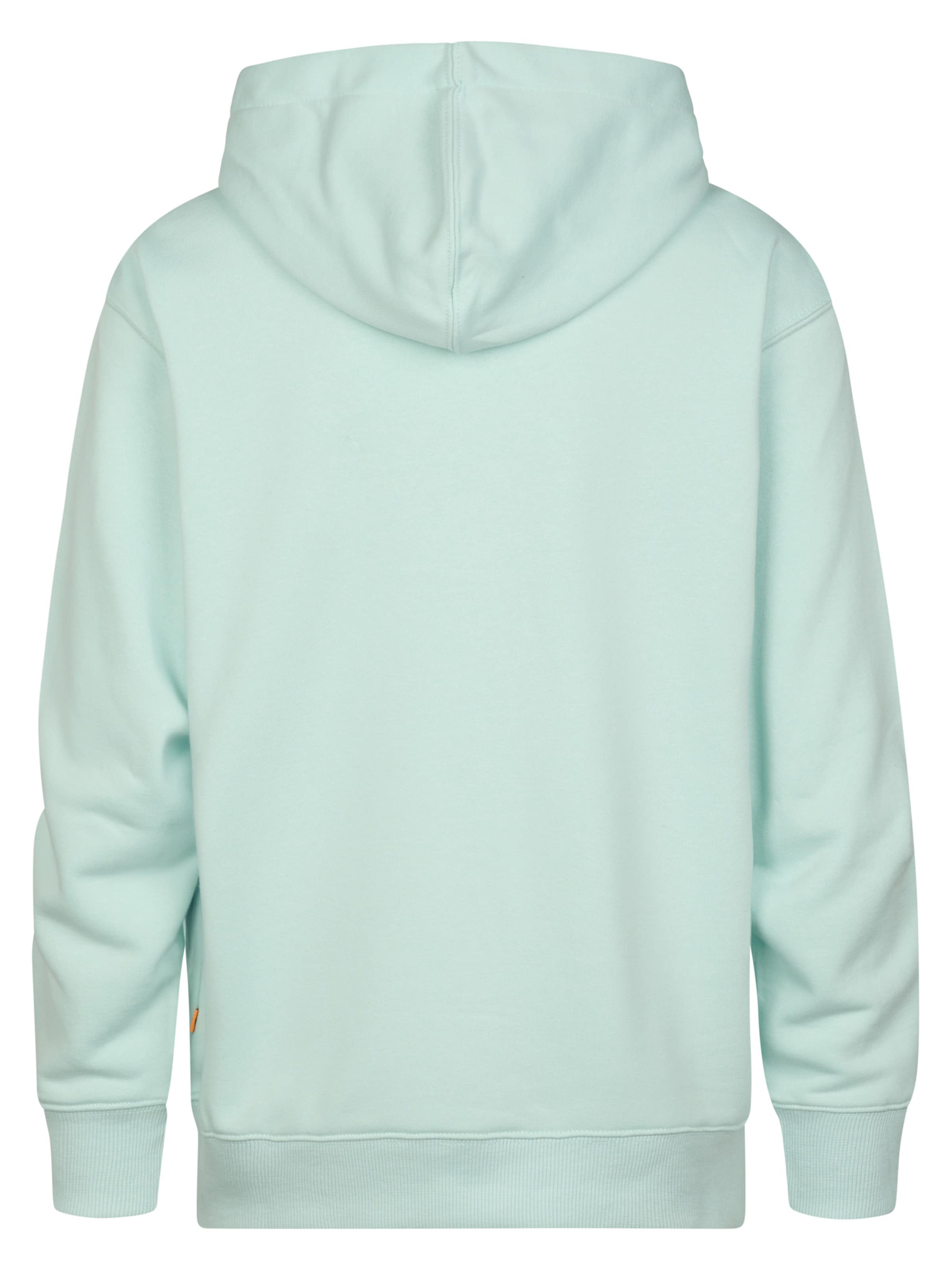 Petrol Industries Sweatshirt 'Ballena' in Groen